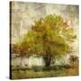 Vintage Tree-Anna Polanski-Stretched Canvas