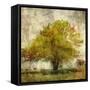 Vintage Tree-Anna Polanski-Framed Stretched Canvas