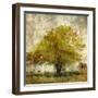 Vintage Tree-Anna Polanski-Framed Art Print