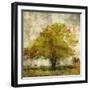 Vintage Tree-Anna Polanski-Framed Art Print