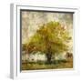 Vintage Tree-Anna Polanski-Framed Art Print