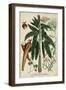 Vintage Tropicals II-Weinmann-Framed Art Print