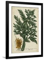 Vintage Tropicals V-Weinmann-Framed Art Print