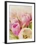 Vintage Tulip I-Collezione Botanica-Framed Giclee Print