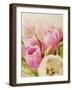 Vintage Tulip I-Collezione Botanica-Framed Giclee Print