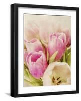 Vintage Tulip I-Collezione Botanica-Framed Giclee Print