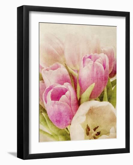 Vintage Tulip I-Collezione Botanica-Framed Giclee Print
