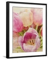 Vintage Tulip II-Collezione Botanica-Framed Giclee Print