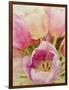 Vintage Tulip II-Collezione Botanica-Framed Giclee Print