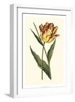 Vintage Tulips I-Vision Studio-Framed Art Print