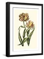 Vintage Tulips IV-Vision Studio-Framed Art Print