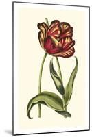 Vintage Tulips VI-Vision Studio-Mounted Art Print