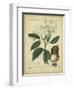 Vintage Turpin Botanical I-Turpin-Framed Art Print