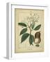 Vintage Turpin Botanical I-Turpin-Framed Art Print