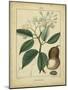 Vintage Turpin Botanical I-Turpin-Mounted Art Print