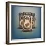 Vintage Twin Lens Reflex Cameras-Batareykin-Framed Art Print