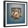 Vintage Twin Lens Reflex Cameras-Batareykin-Framed Art Print