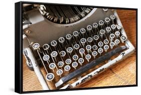 Vintage typewriter in a consignment store in Santa Fe, New Mexico.-Julien McRoberts-Framed Stretched Canvas