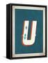 Vintage U-Kindred Sol Collective-Framed Stretched Canvas