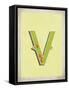 Vintage V-Kindred Sol Collective-Framed Stretched Canvas