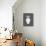 Vintage Vase - Slate-Mark Chandon-Stretched Canvas displayed on a wall