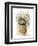 Vintage Vase Yellow-Matthew Piotrowicz-Framed Art Print