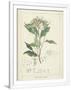 Gramercy White