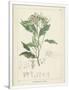 Gramercy White