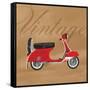 Vintage Vespa Red-Dominique Vari-Framed Stretched Canvas