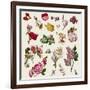 Vintage Victorian Flowers Clip Art-Karimala-Framed Art Print