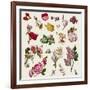 Vintage Victorian Flowers Clip Art-Karimala-Framed Art Print