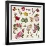 Vintage Victorian Flowers Clip Art-Karimala-Framed Art Print