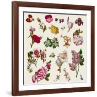 Vintage Victorian Flowers Clip Art-Karimala-Framed Art Print