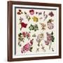 Vintage Victorian Flowers Clip Art-Karimala-Framed Art Print