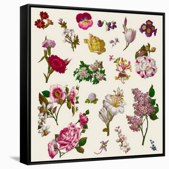 Vintage Victorian Flowers Clip Art-Karimala-Framed Stretched Canvas