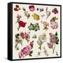 Vintage Victorian Flowers Clip Art-Karimala-Framed Stretched Canvas