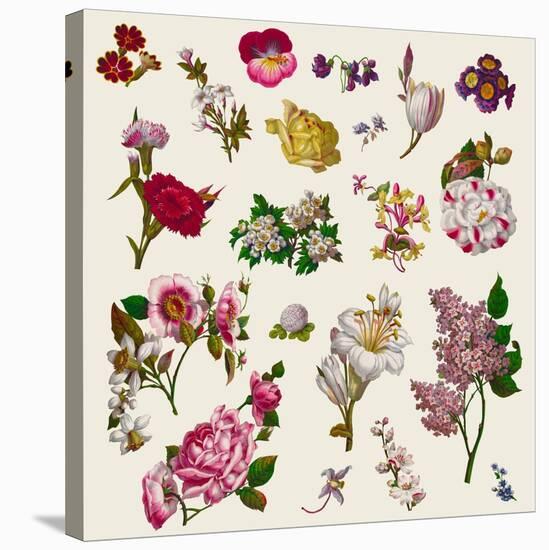 Vintage Victorian Flowers Clip Art-Karimala-Stretched Canvas