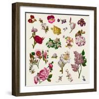 Vintage Victorian Flowers Clip Art-Karimala-Framed Art Print