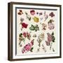 Vintage Victorian Flowers Clip Art-Karimala-Framed Art Print