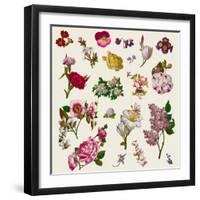 Vintage Victorian Flowers Clip Art-Karimala-Framed Art Print