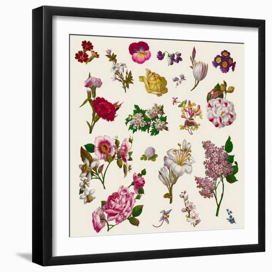 Vintage Victorian Flowers Clip Art-Karimala-Framed Art Print