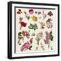 Vintage Victorian Flowers Clip Art-Karimala-Framed Art Print