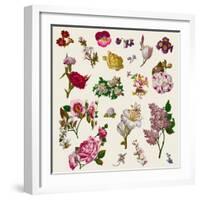 Vintage Victorian Flowers Clip Art-Karimala-Framed Art Print