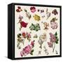 Vintage Victorian Flowers Clip Art-Karimala-Framed Stretched Canvas