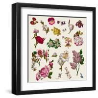 Vintage Victorian Flowers Clip Art-Karimala-Framed Art Print