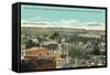 Vintage View of San Diego-null-Framed Stretched Canvas