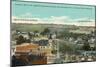 Vintage View of San Diego-null-Mounted Art Print