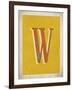 Vintage W-Kindred Sol Collective-Framed Art Print