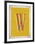 Vintage W-Kindred Sol Collective-Framed Art Print