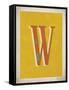 Vintage W-Kindred Sol Collective-Framed Stretched Canvas